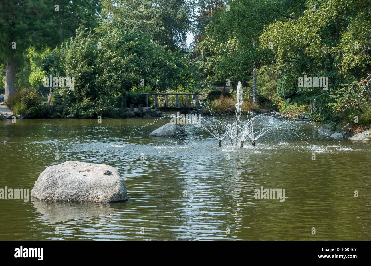 Vista di una fontana al Point Defiance Park nello Stato di Washington. Foto Stock