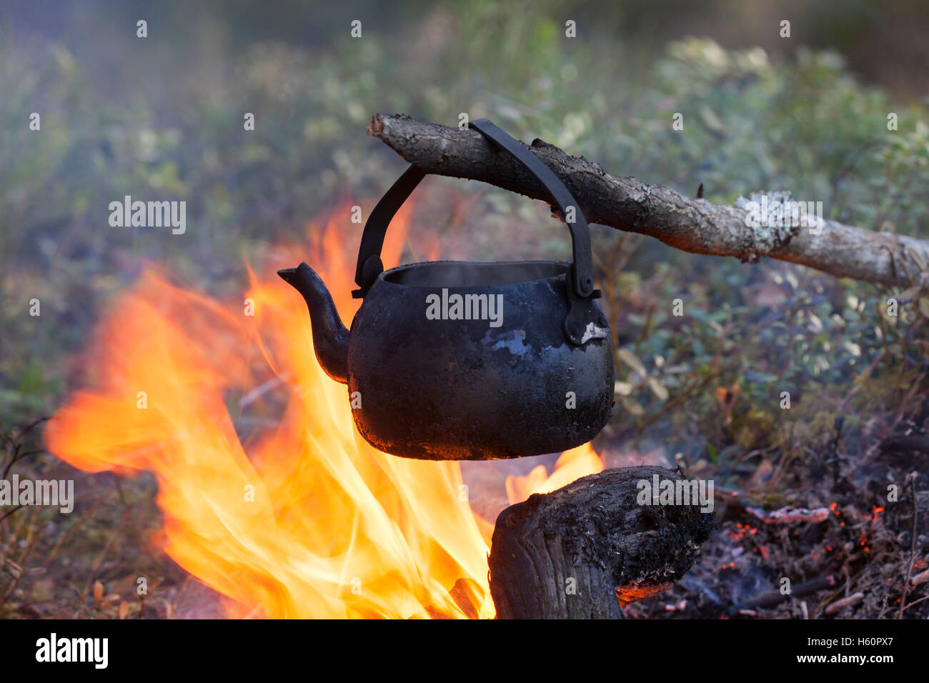 Stagno annerito bollitore dalla fuliggine acqua bollente su fiamme dal fuoco durante il trekking nella foresta Foto Stock