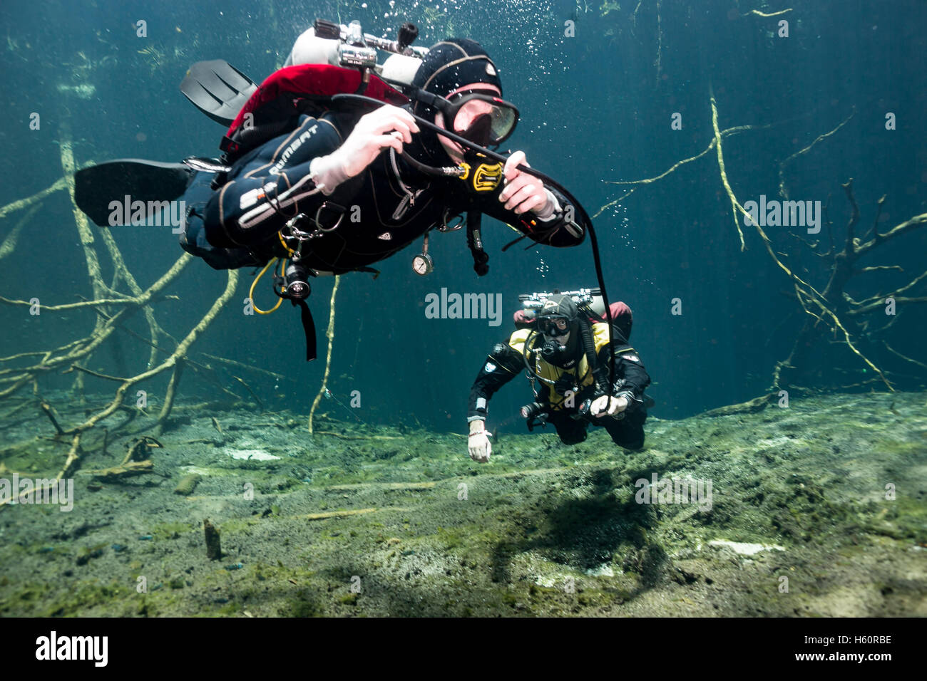 Scuba Diver in Car Wash Cenote Aktun Ha, Tulum, la penisola dello Yucatan, Messico Foto Stock