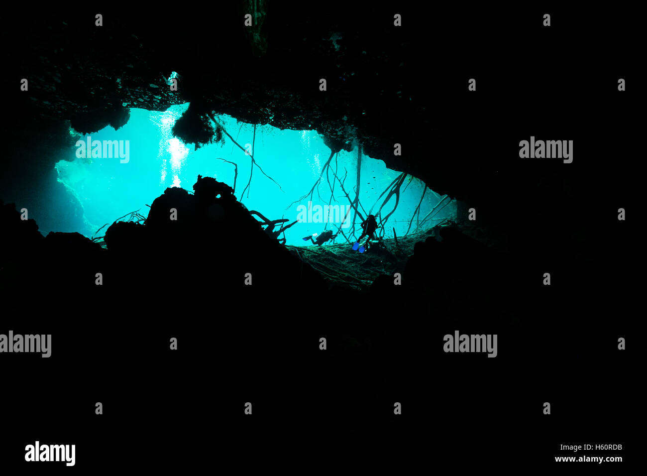 Cenote tulum messico immersione in caverna subacquea Foto Stock