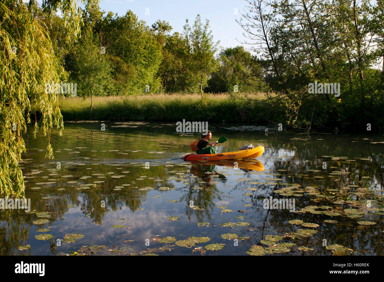 Il kayak Azay le Rideau, nel fiume Indre, Valle della Loira, in Francia. Foto Stock