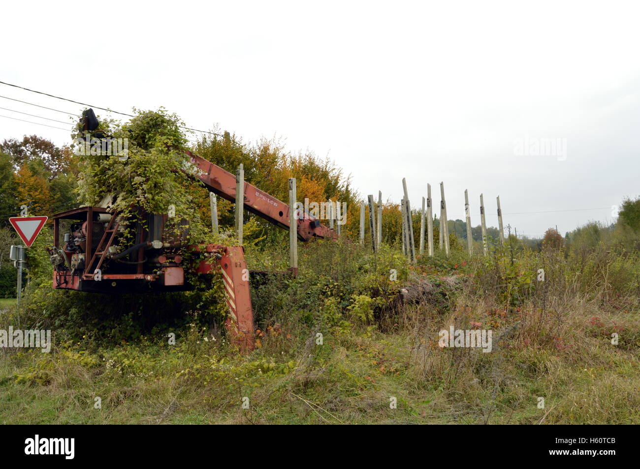 Vecchio rimorchio con impugnatura in legno sotto la vegetazione Foto Stock