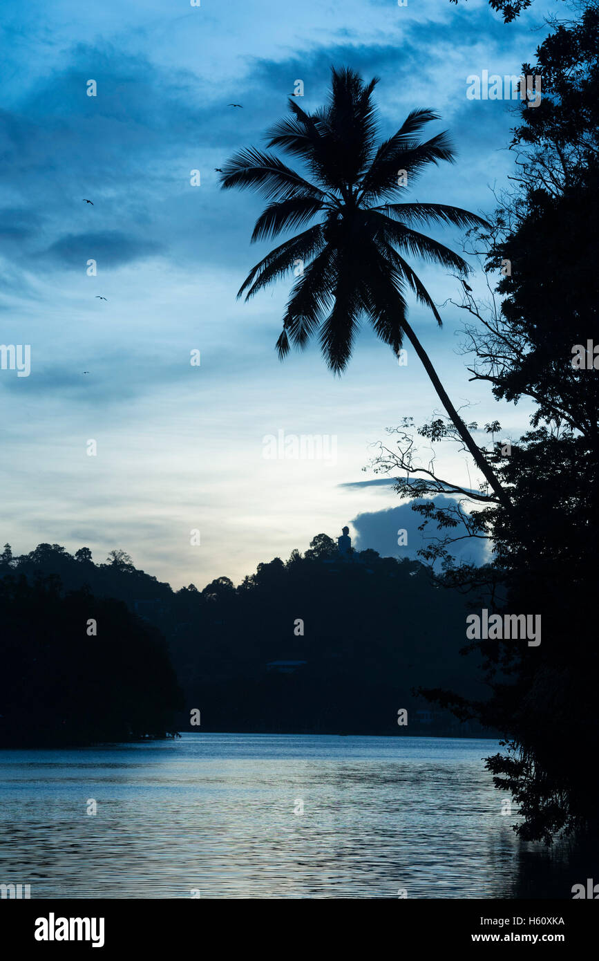 Lago Kandy durante la notte, Kandy, Sri Lanka Foto Stock