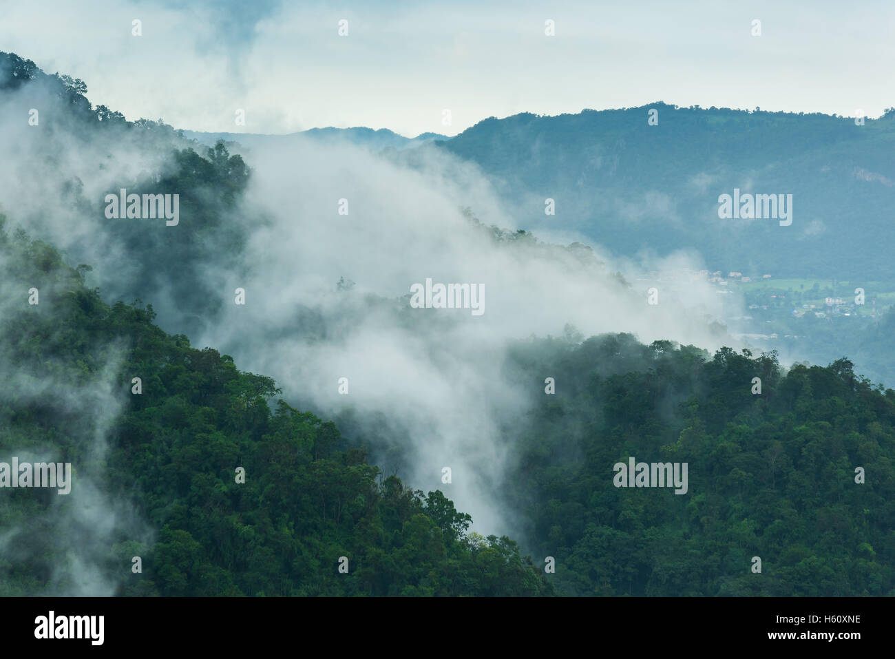 La foresta pluviale tropicale,Parco nazionale Khao Yai Thailandia Foto Stock