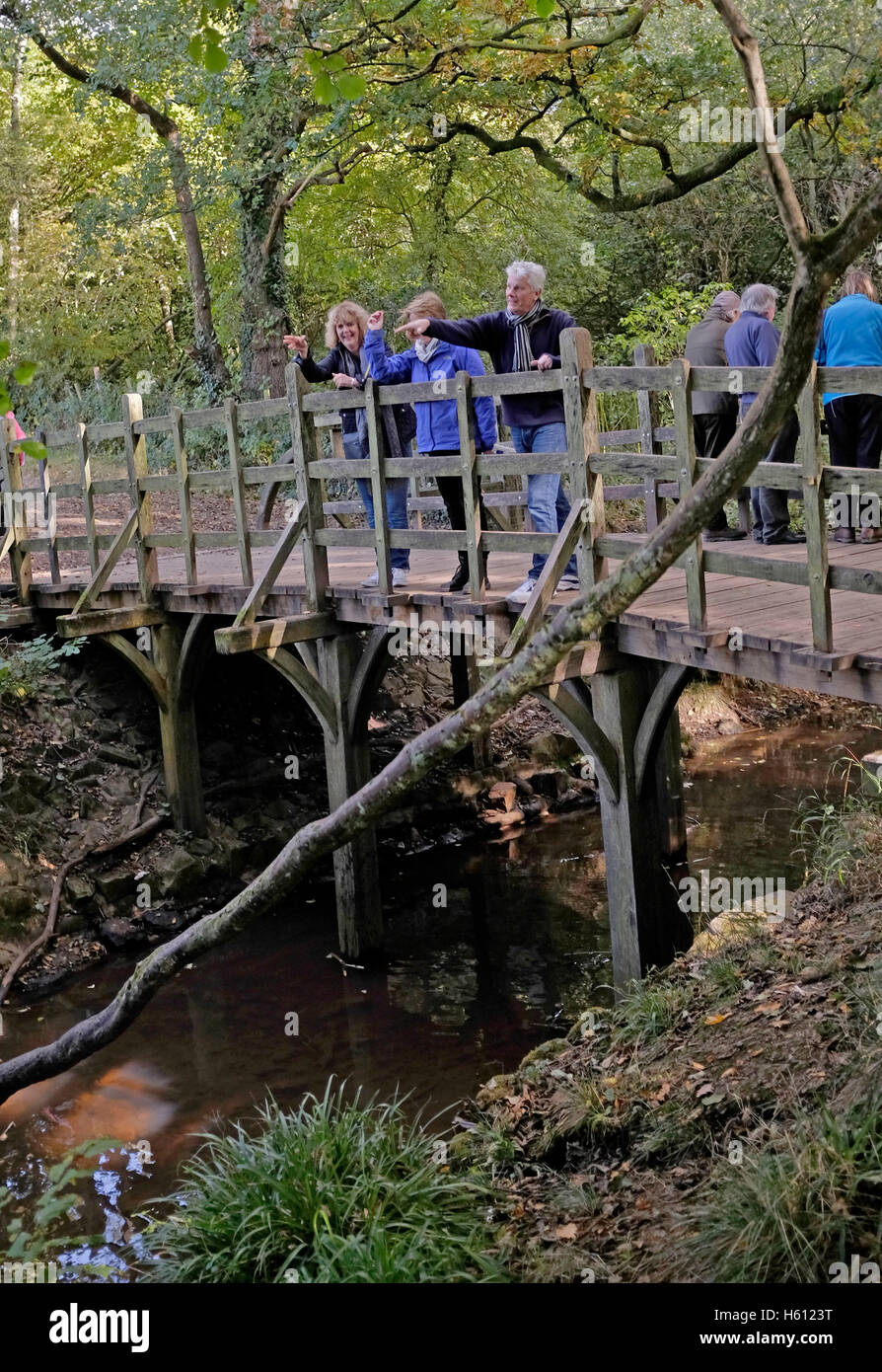 Persone che giocano a pooh sticks gioco presso il famoso Ponte di Pooh nel cuore della Foresta di Ashdown SUSSEX REGNO UNITO Foto Stock