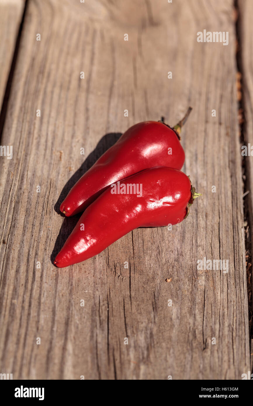 Organico caldo rosso peperoncino jalapeno verdure su un rustico di legno tabella di fattoria. Foto Stock