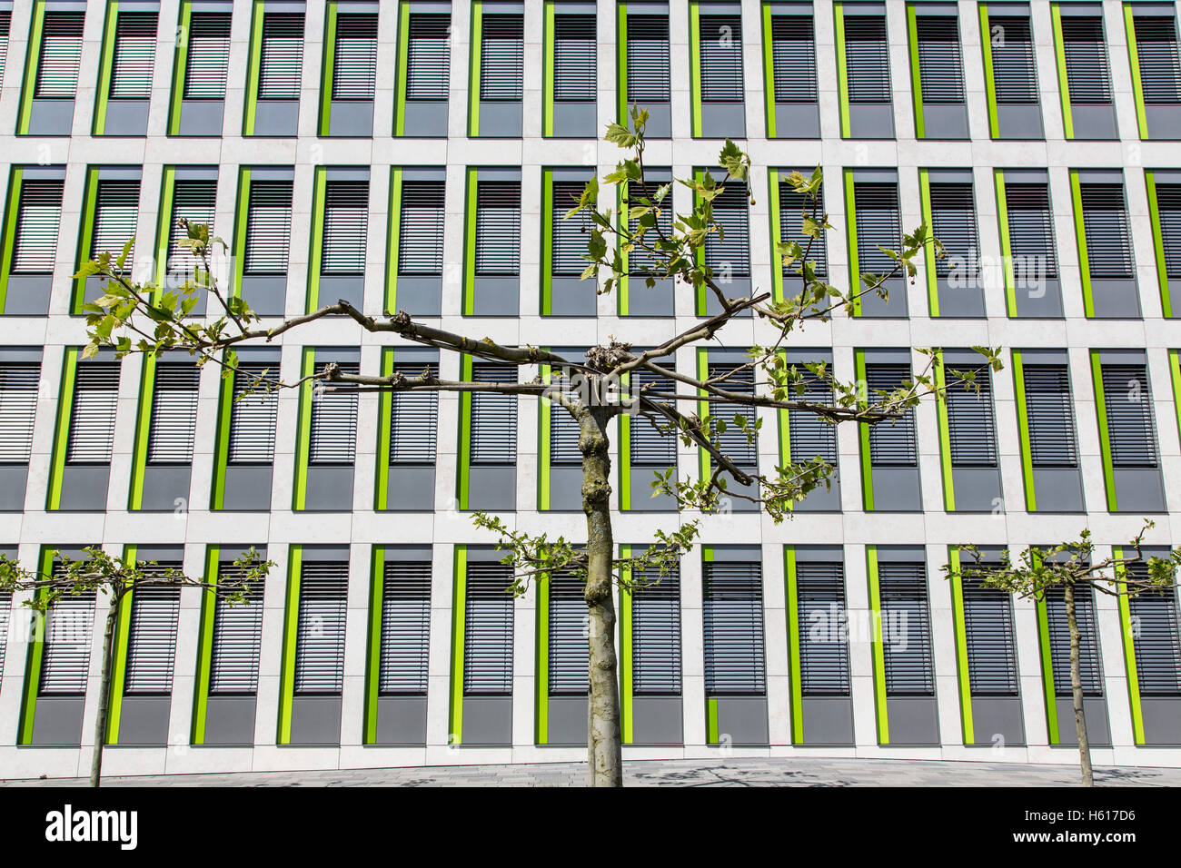 Facciata di un moderno edificio di uffici, piccole finestre, piccolo albero nella parte anteriore, Foto Stock