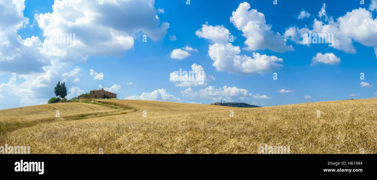 Bella Toscana paesaggio con il centro storico di Pienza su una collina in estate, Val d'Orcia, Italia Foto Stock