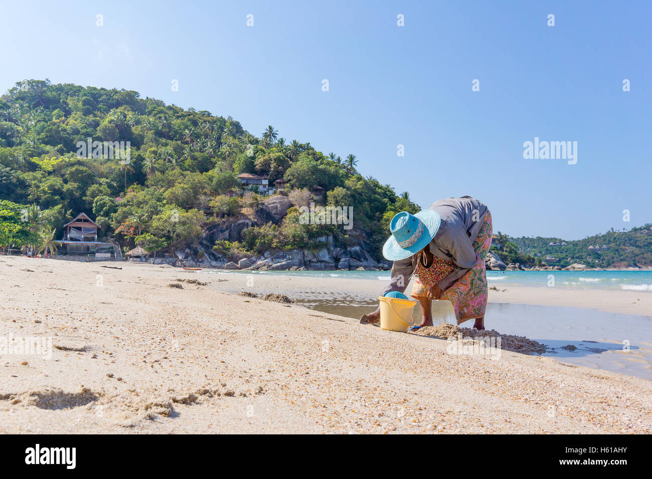 Thong Nai Pan Yai, Koh Pangan, Thailandia, Aprile 26, 2016 , donna Thai scava fino le cozze sulla spiaggia e li raccoglie in una benna Foto Stock