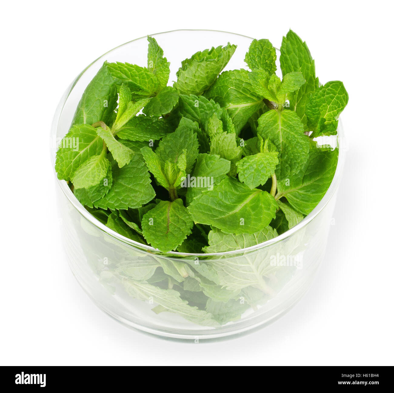 Fresche foglie di menta piperita in recipiente di vetro su sfondo bianco. Verde menta piperita è un'erba commestibile. Foto Stock