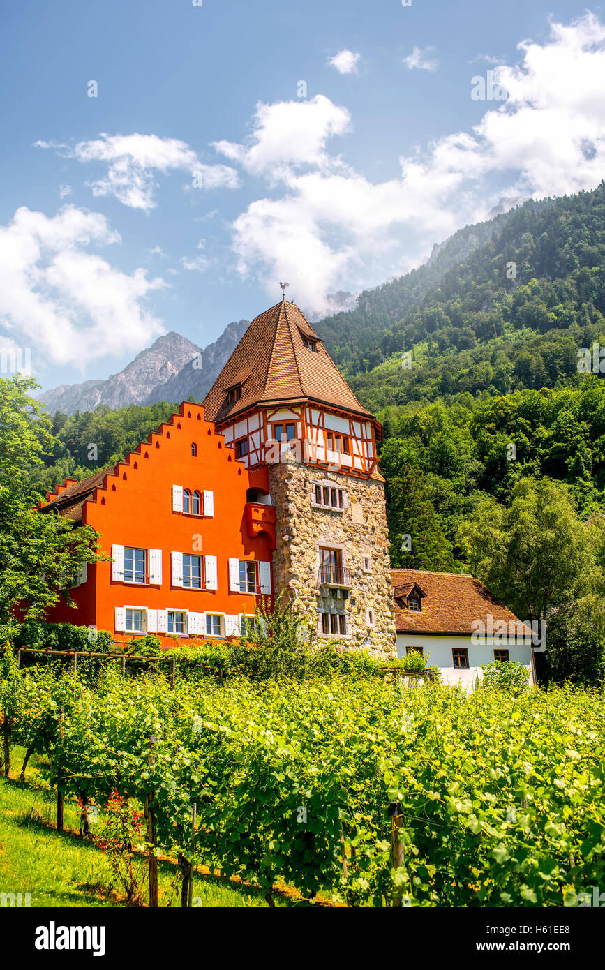 Casa Rossa in Liechtenstein Foto Stock