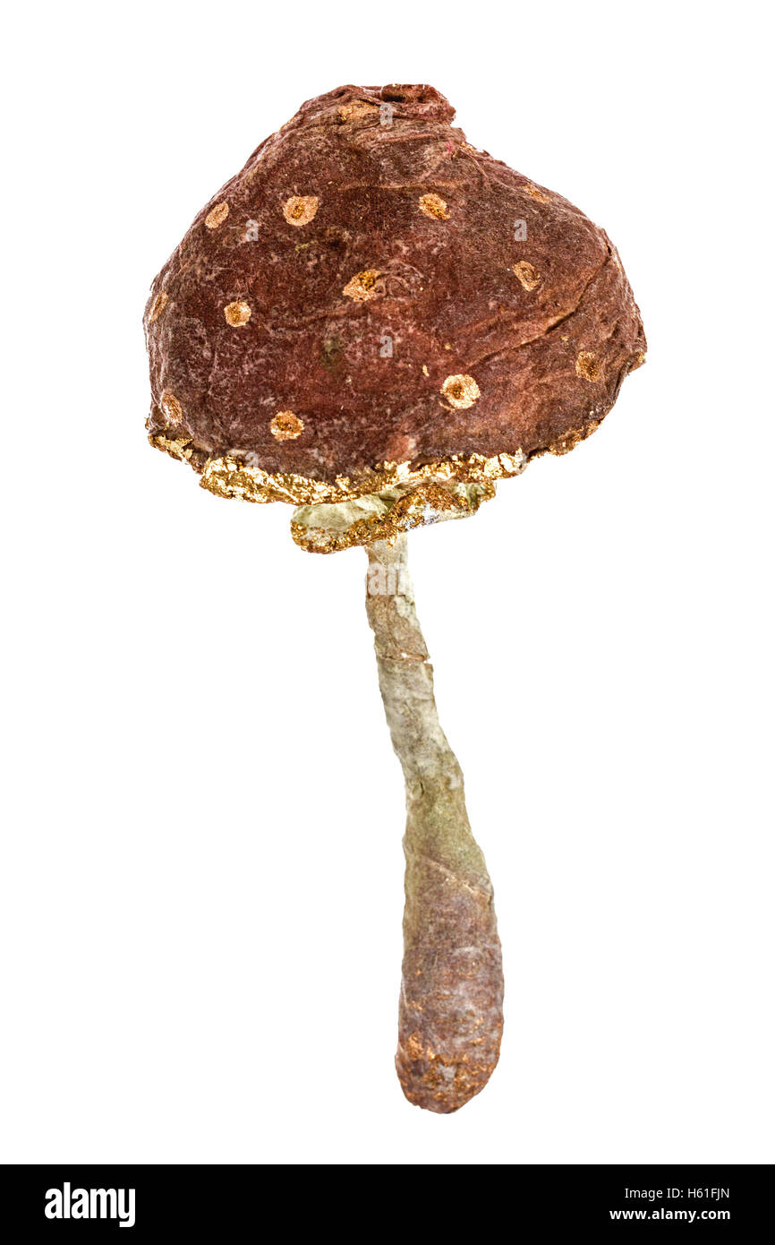 Bellissimo giocattolo a forma di fungo isolato su sfondo bianco Foto Stock