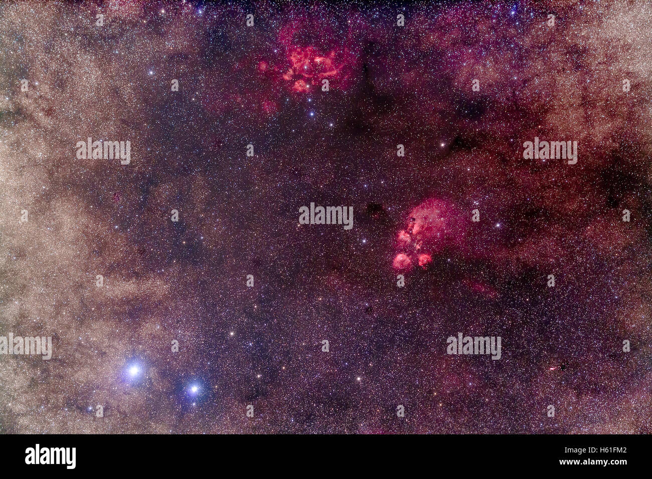Lambda scorpii immagini e fotografie stock ad alta risoluzione Alamy