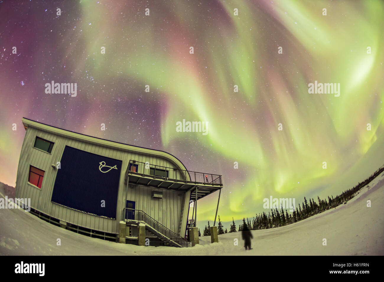 Una solitaria figura sguardi skyward all'aurora over the Churchill nord del Centro Studi, Churchill, Manitoba. Ho girato questa Feb 4, 20 Foto Stock