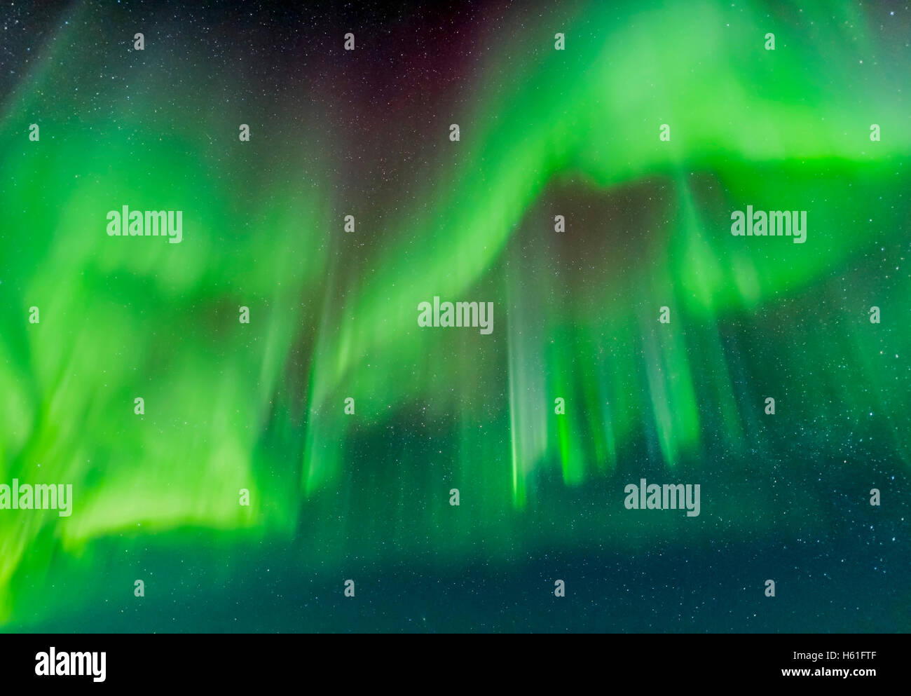 L'aurora boreale, nella notte di marzo 4/5, 2016 come visto e shot da Churchill studi settentrionale Ce Foto Stock