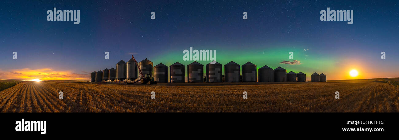 Una debole aurora incandescente al di sopra del raccolto in corso questa sera con i carrelli e combina l'illuminazione del campo a sinistra e la Har Foto Stock