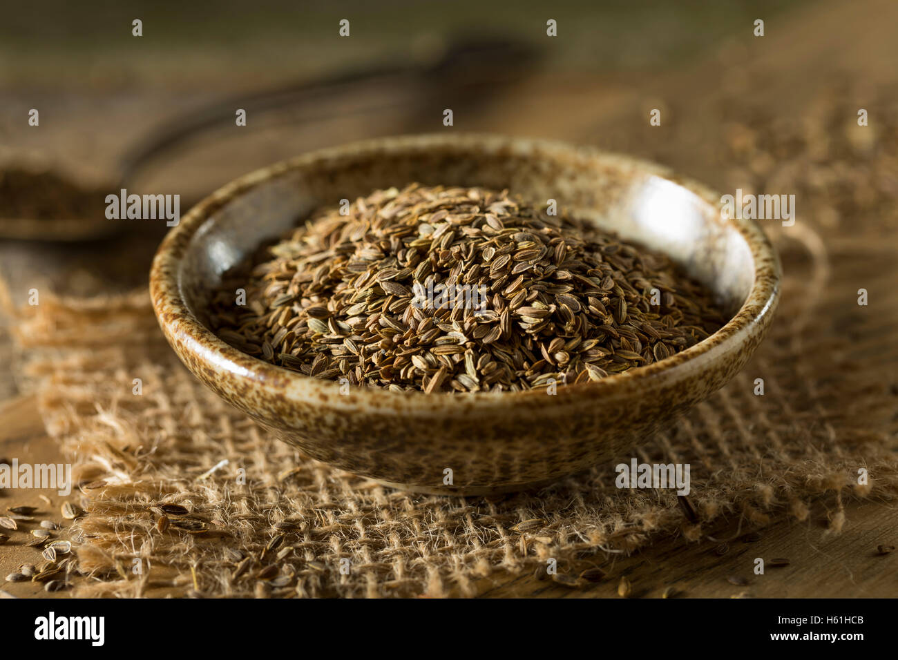 Materie organiche di semi di aneto in una ciotola Foto Stock
