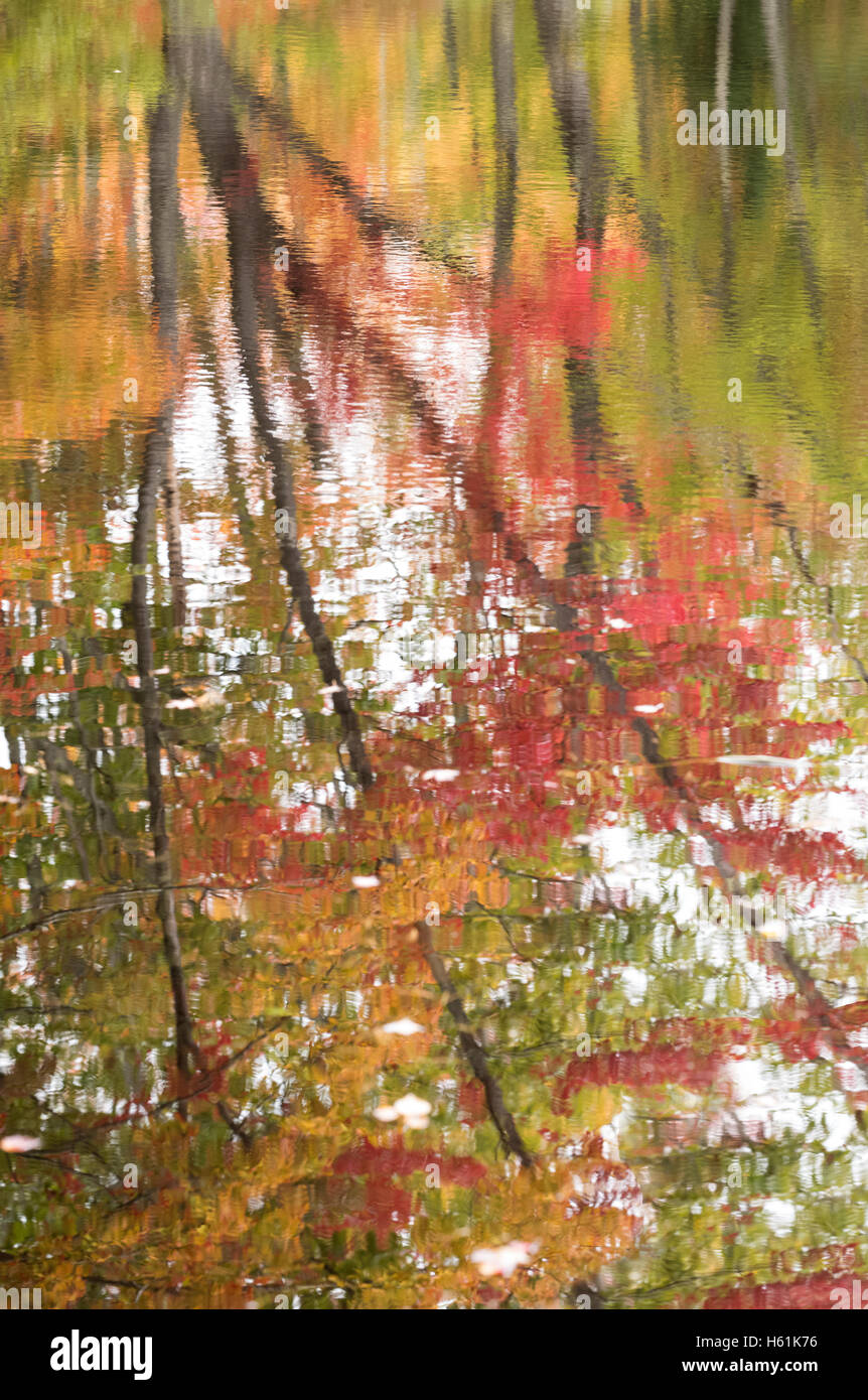 Caduta delle Foglie acqua riflessioni amicizia MAINE USA Foto Stock