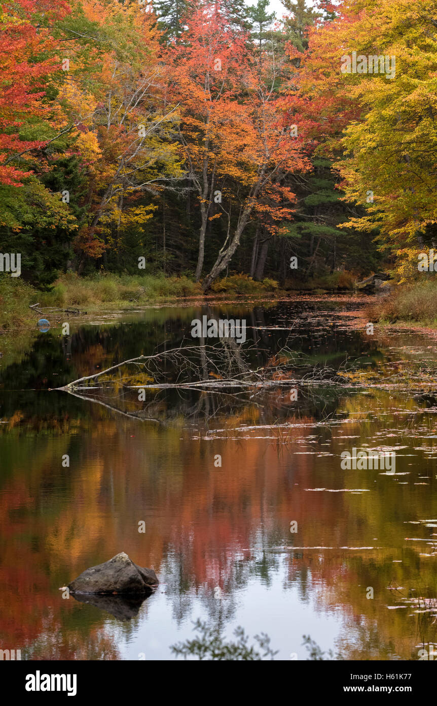 Scena di fiume caduta delle foglie amicizia MAINE USA Foto Stock