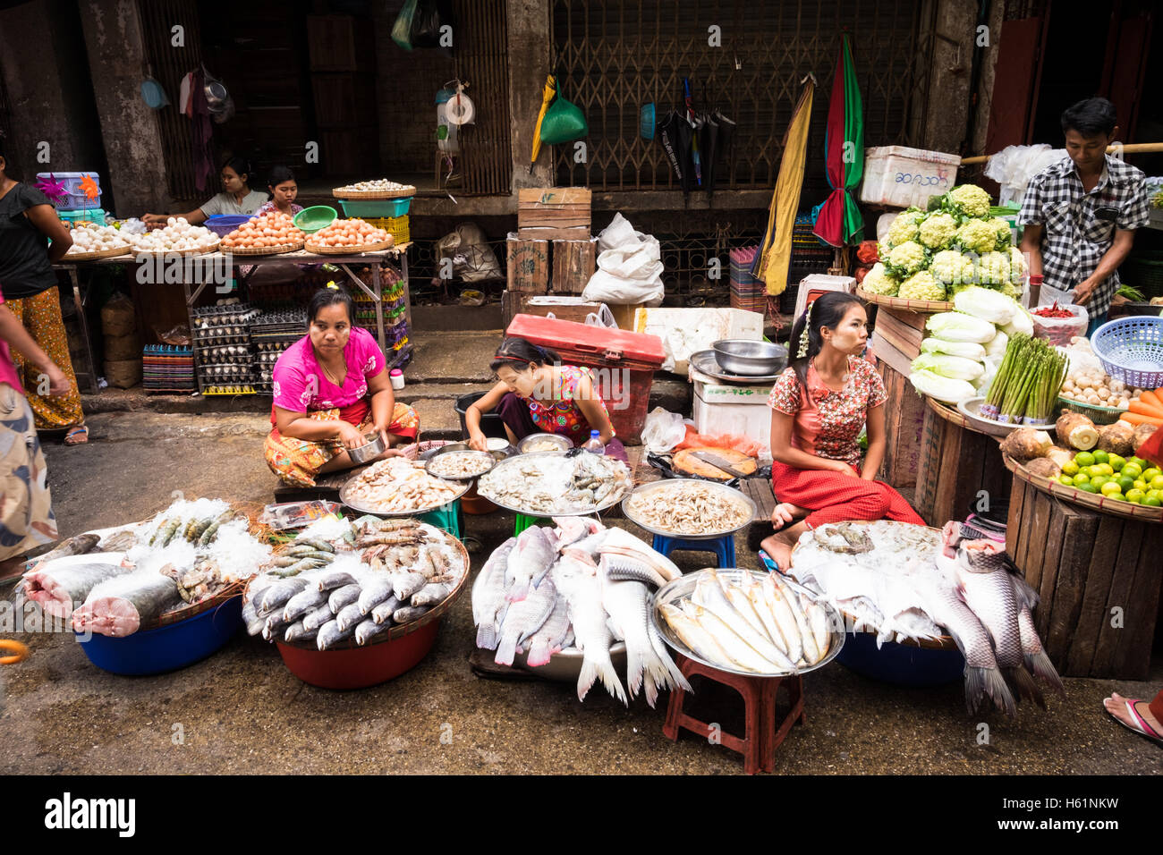 Le donne la vendita di pesce fresco al loro mercato di strada in stallo nel centro di Yangon. Foto Stock