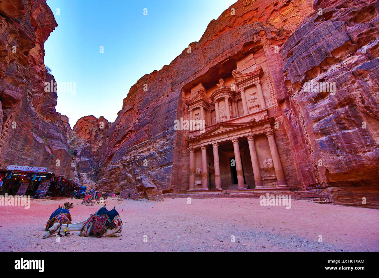 Vista del tesoro, Al-Khazneh, con cammelli, Petra, Giordania Foto Stock