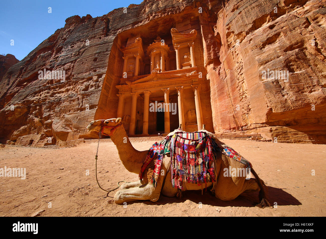Vista del tesoro, Al-Khazneh con cammelli, Petra, Giordania Foto Stock