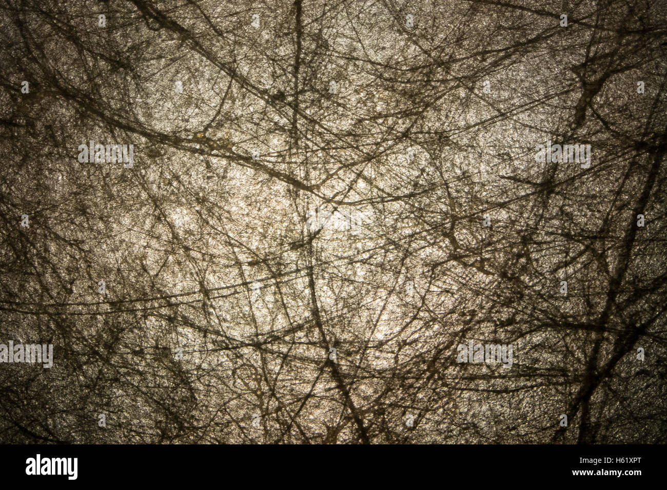 Perfetto abstract background strutturato con texture naturali closeup vignette di un particolare estratto dalla carta fatta a mano con legno t Foto Stock