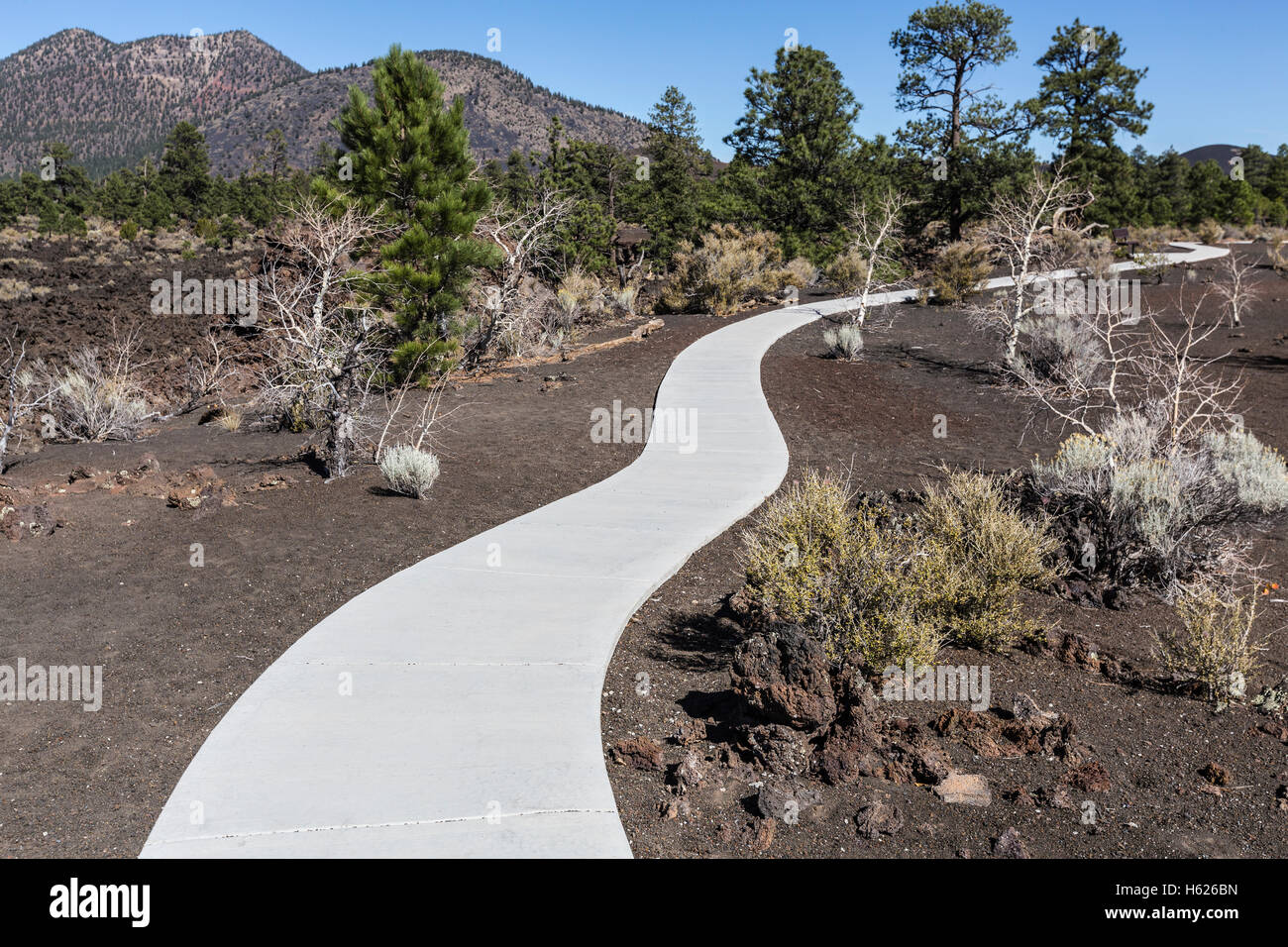 Nuovo accesso facilitato per portatori di Nandicap marciapiede sentiero attraverso la foresta di lava al tramonto cratere di Vulcano Monumento Nazionale vicino a Flagstaff, in Arizona. Foto Stock