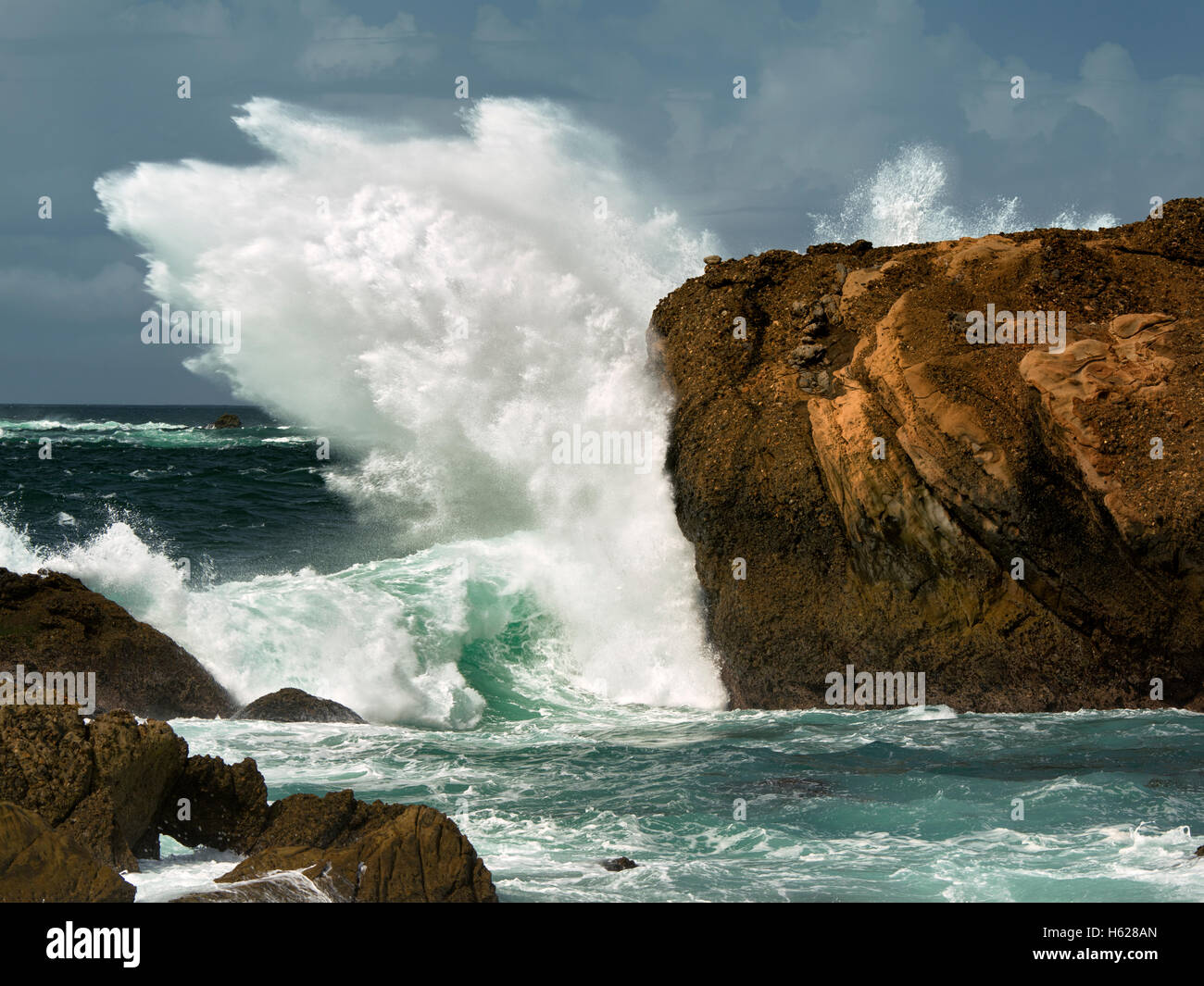 Si infrangono onde di tempesta. Point Lobos State Reserve. California Foto Stock