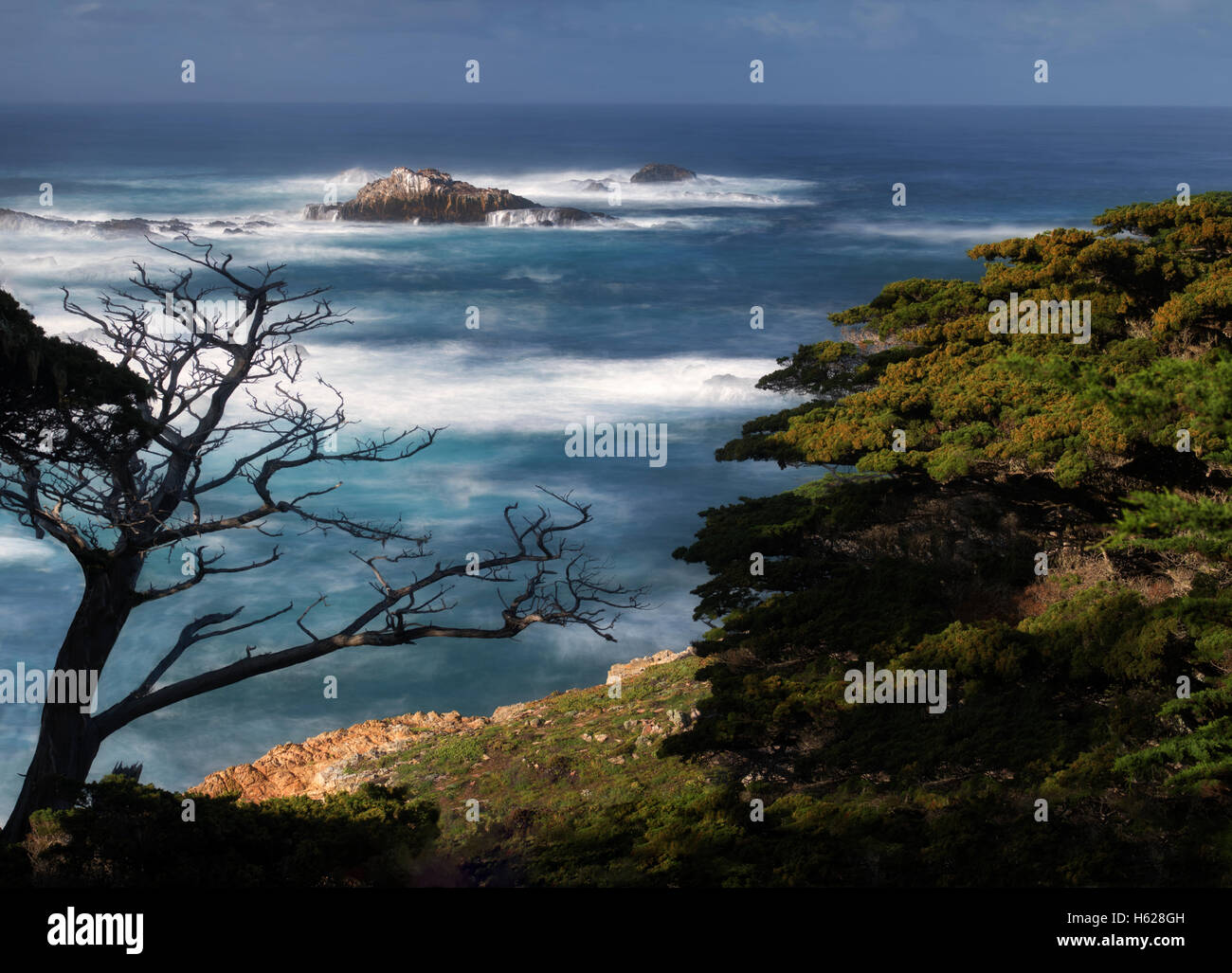 Costa con onde. Point Lobos State Reserve. California Foto Stock