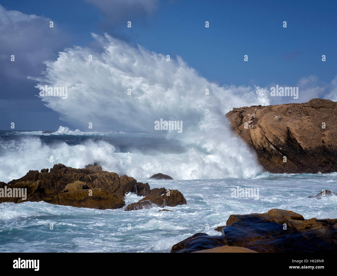 Costa con le onde del mare. Point Lobos State Reserve. California Foto Stock
