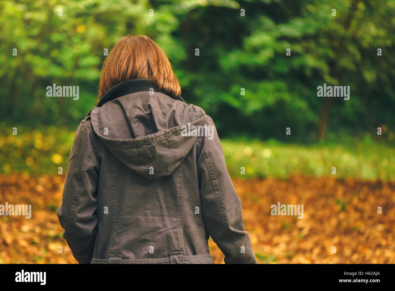 Vista posteriore del casual donna camminando in autunno o parco foresta, donna in caduta stagione ambiente scenario da dietro Foto Stock