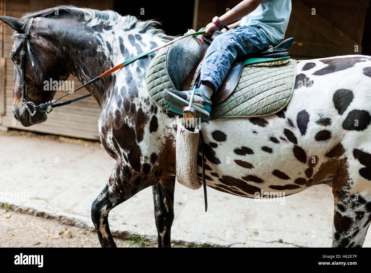 Little Boy di equitazione, vista parziale Foto Stock