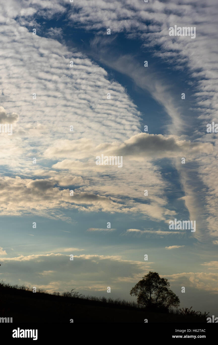 La oscillante e dinamica formazione cloud domina il cielo in colori tenui vicino a Sand am Main, Germania, 23 ottobre 2016. Foto: Nicolas Armer/dpa Foto Stock