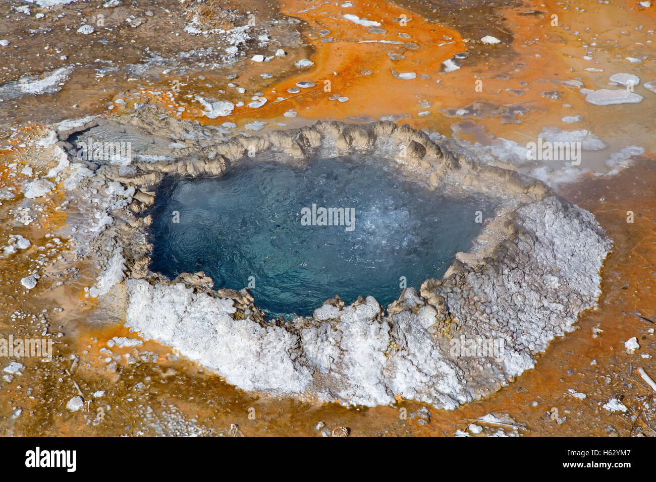 Colorate acqua calda piscina nel parco nazionale di Yellowstone, STATI UNITI D'AMERICA Foto Stock