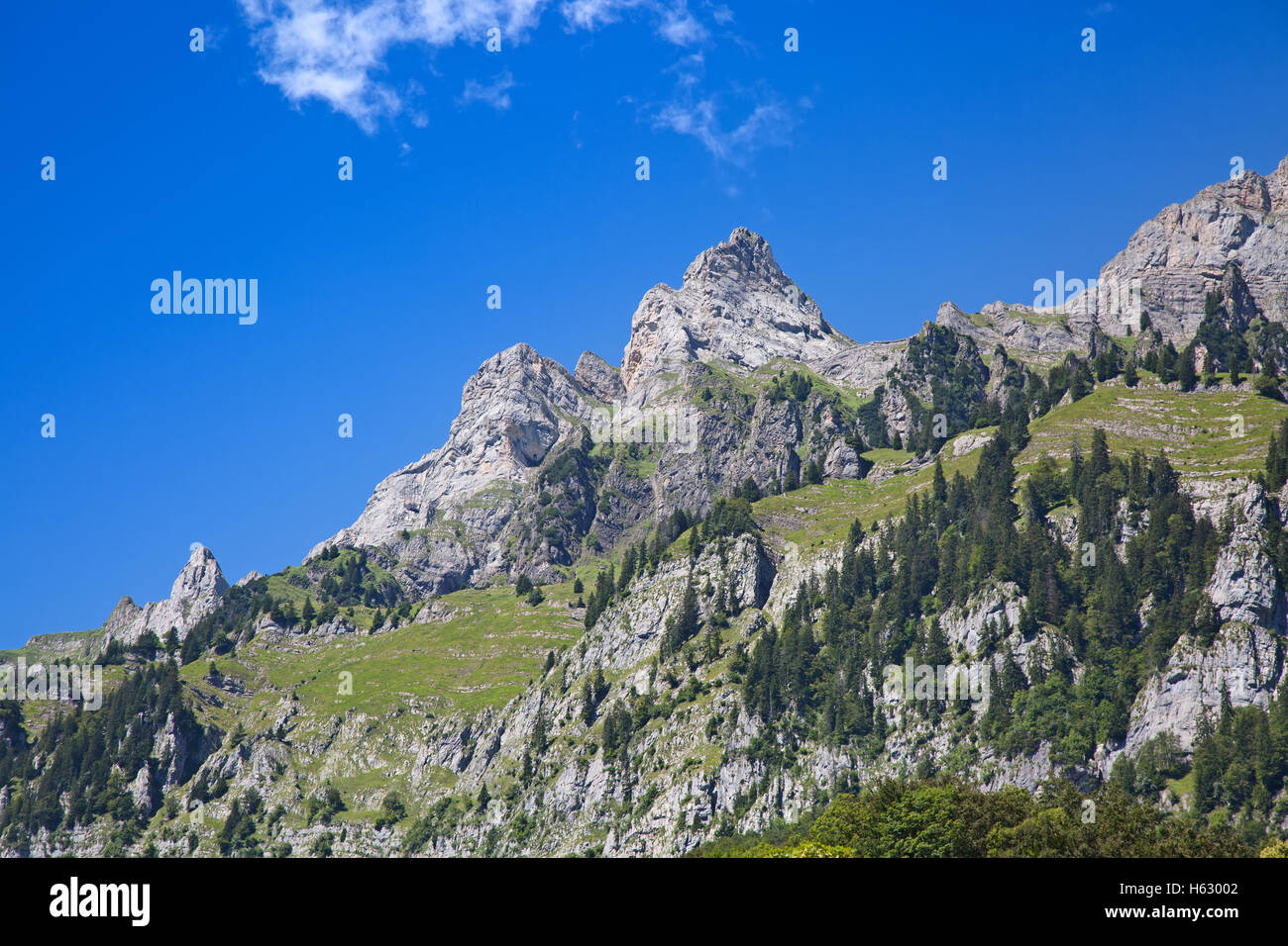 Paesaggio estivo nella regione Walensee (Churfirsten gamma di montagna nelle Alpi svizzere) Foto Stock