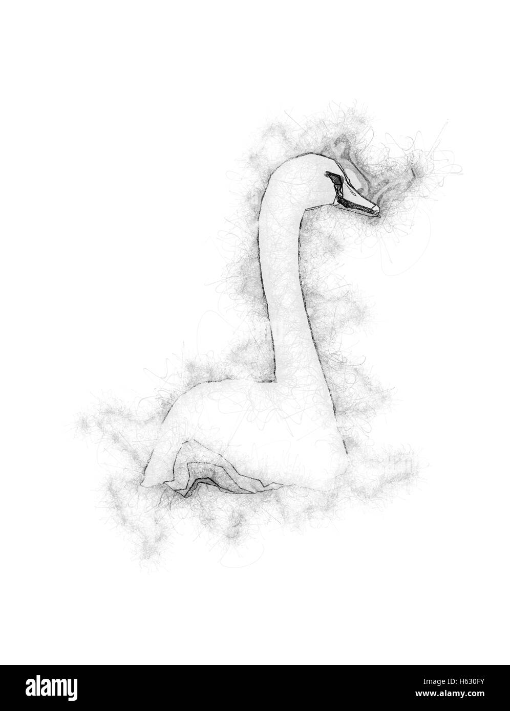 Migliorate digitalmente immagine di un cigno bianco nuotare nel fiume Danubio, Austria Foto Stock