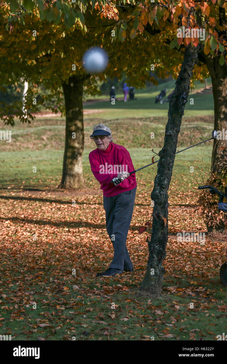 Scene autunnali di golfisti giocando sul Brent Valley golf course a ovest di Londra. Foto Data: domenica 23 ottobre, 2016. Foto credi Foto Stock