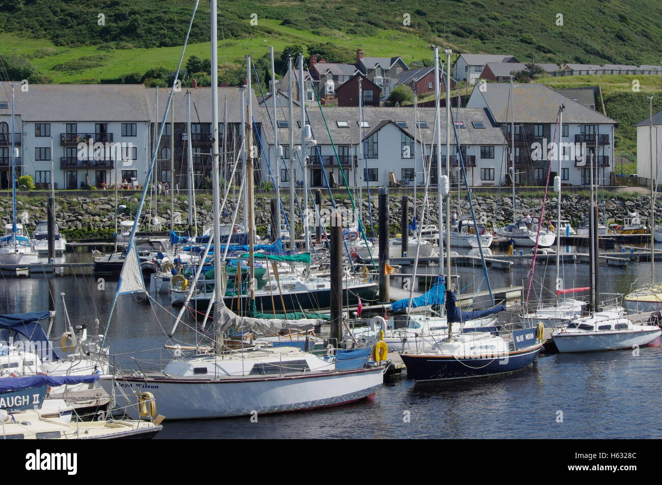 Vista su barche a Aberystwyth Harbour / Marina rivolta verso Y Lanfa, Trefechen. Foto Stock