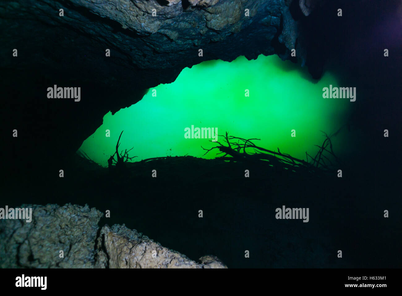 Cenote tulum messico immersione in caverna subacquea Foto Stock