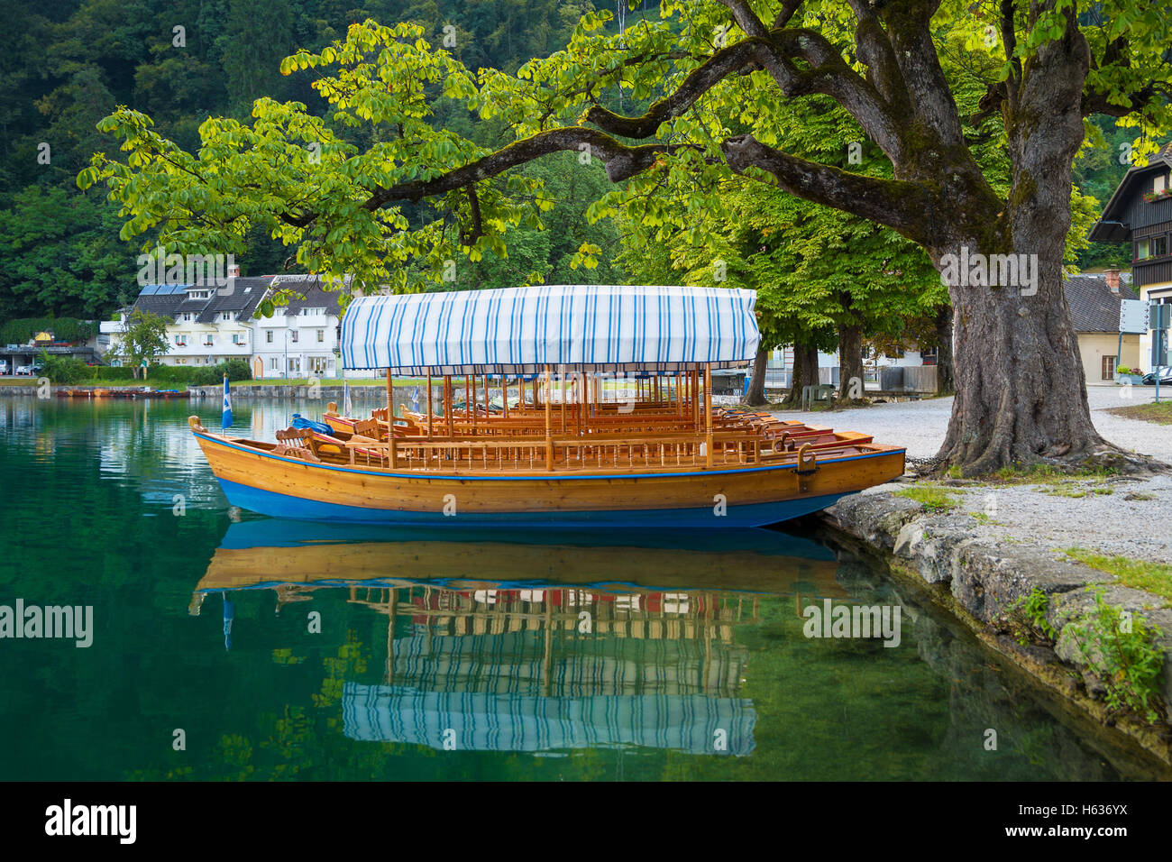 Pletna boats dock sotto un albero sul lago sul lago di Bled in Slovenia Foto Stock