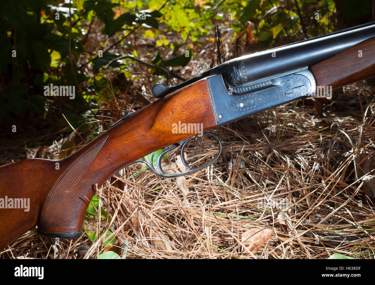 Double barrel fucile da caccia che si trova in una foresta con gli aghi di pino Foto Stock