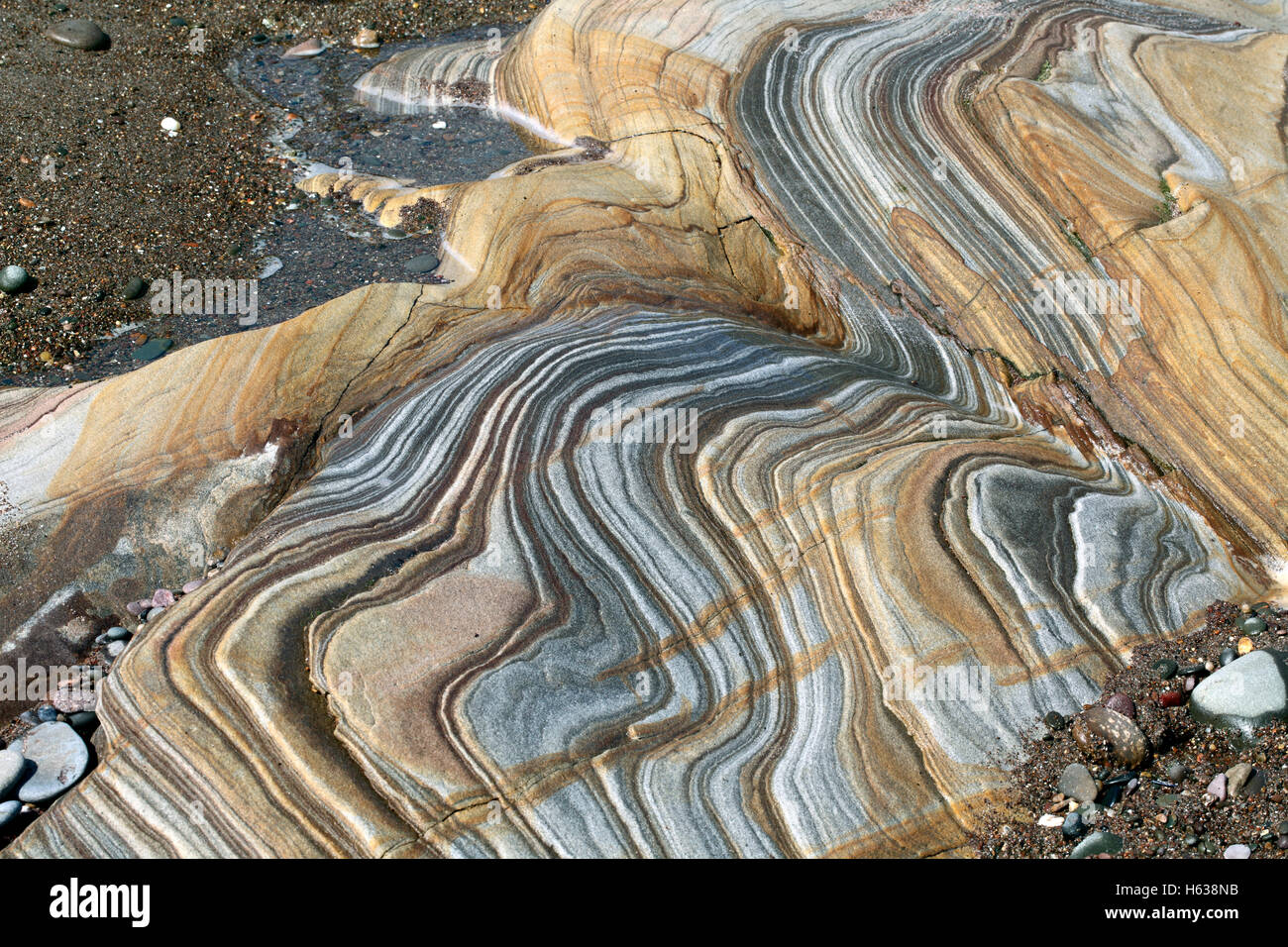Si piega e la stratificazione in colorate affioramenti di roccia sulla spiaggia di Spittal, vicino a Berwick-upon-Tweed, Northumberland. Foto Stock
