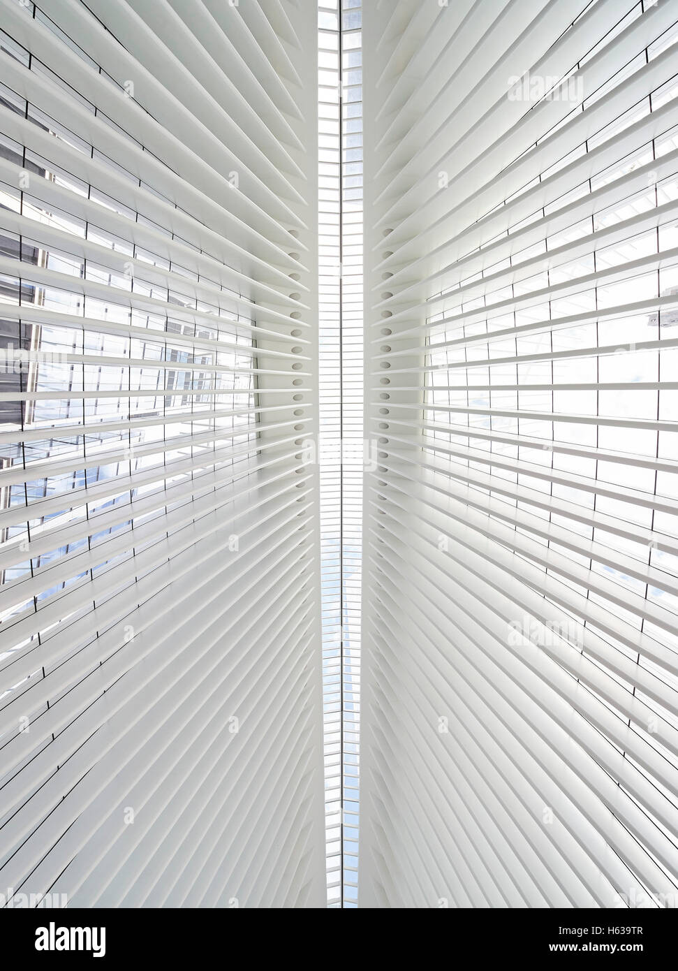 Dettaglio di acciaio bianca facciata di nervatura. L'occhio, World Trade Center Hub di trasporto, New York, Stati Uniti. L'Architetto Santiago Calatrava, 2016. Foto Stock