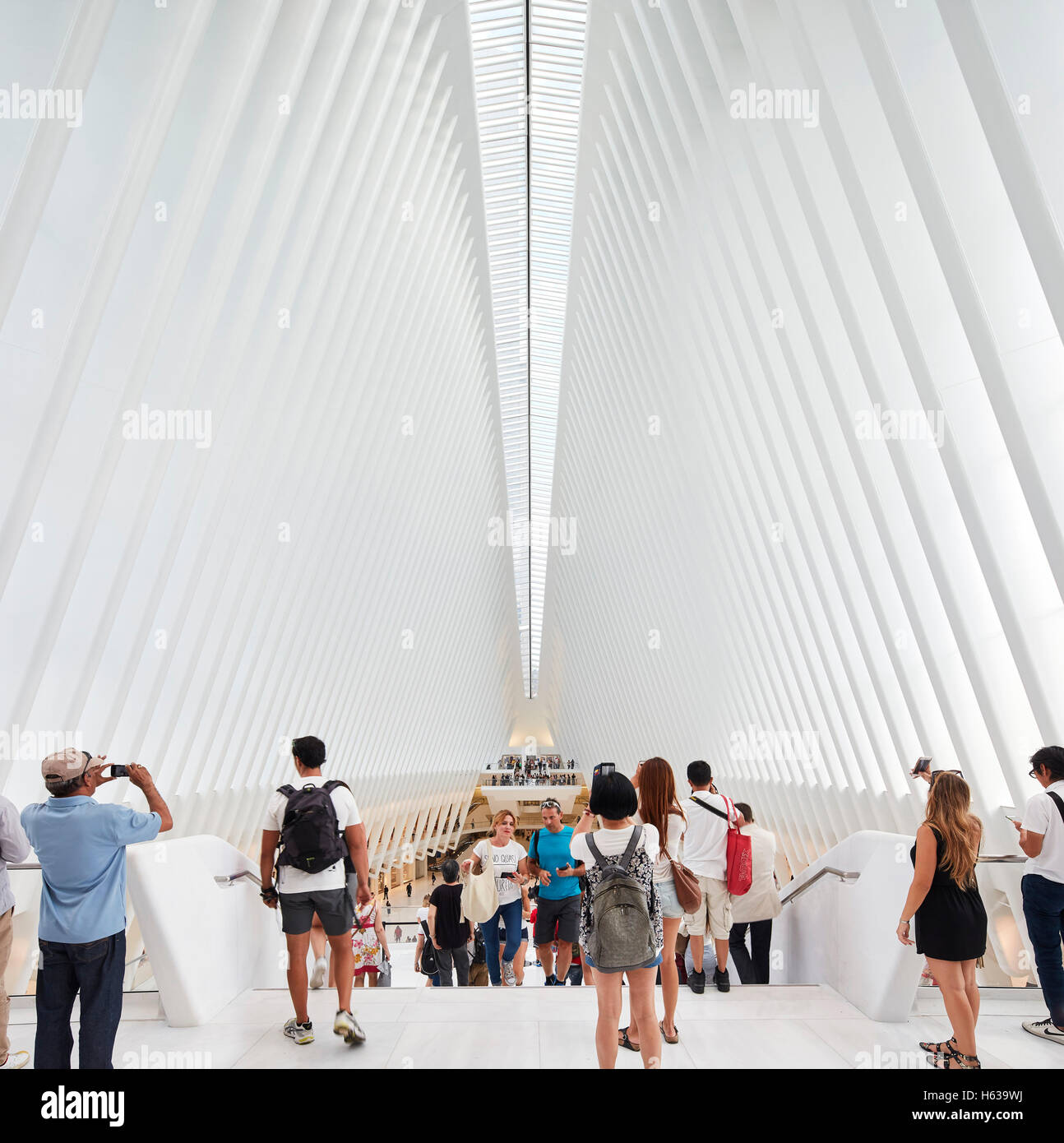 Simile ad una cattedrale hall di transito interno dalla piattaforma di osservazione. L'occhio, World Trade Center Hub di trasporto, New York, Regno Foto Stock