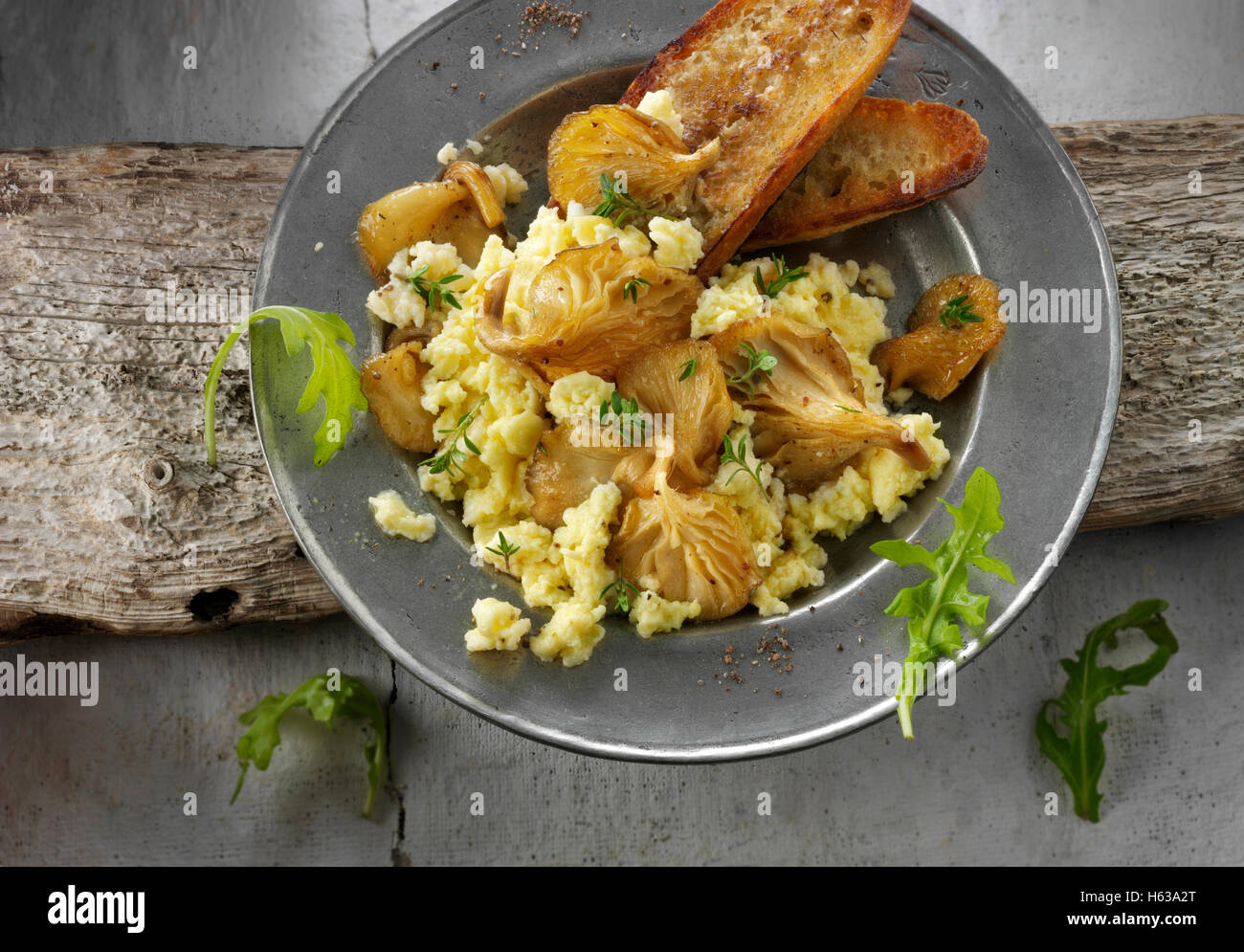 Giallo funghi Oyster saltate in burro e serviti con uovo confuse , pasta acida pane fritto e wild rocket Foto Stock