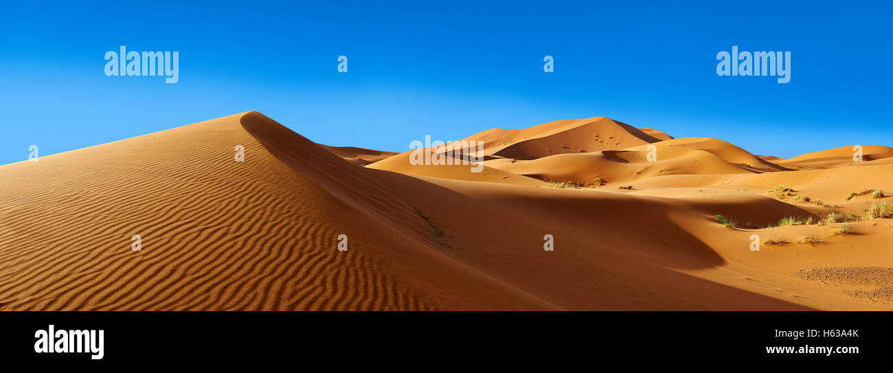Panorama del Sahara dune di sabbia di Erg Chebbi, Merzouga, Marocco, Africa Foto Stock