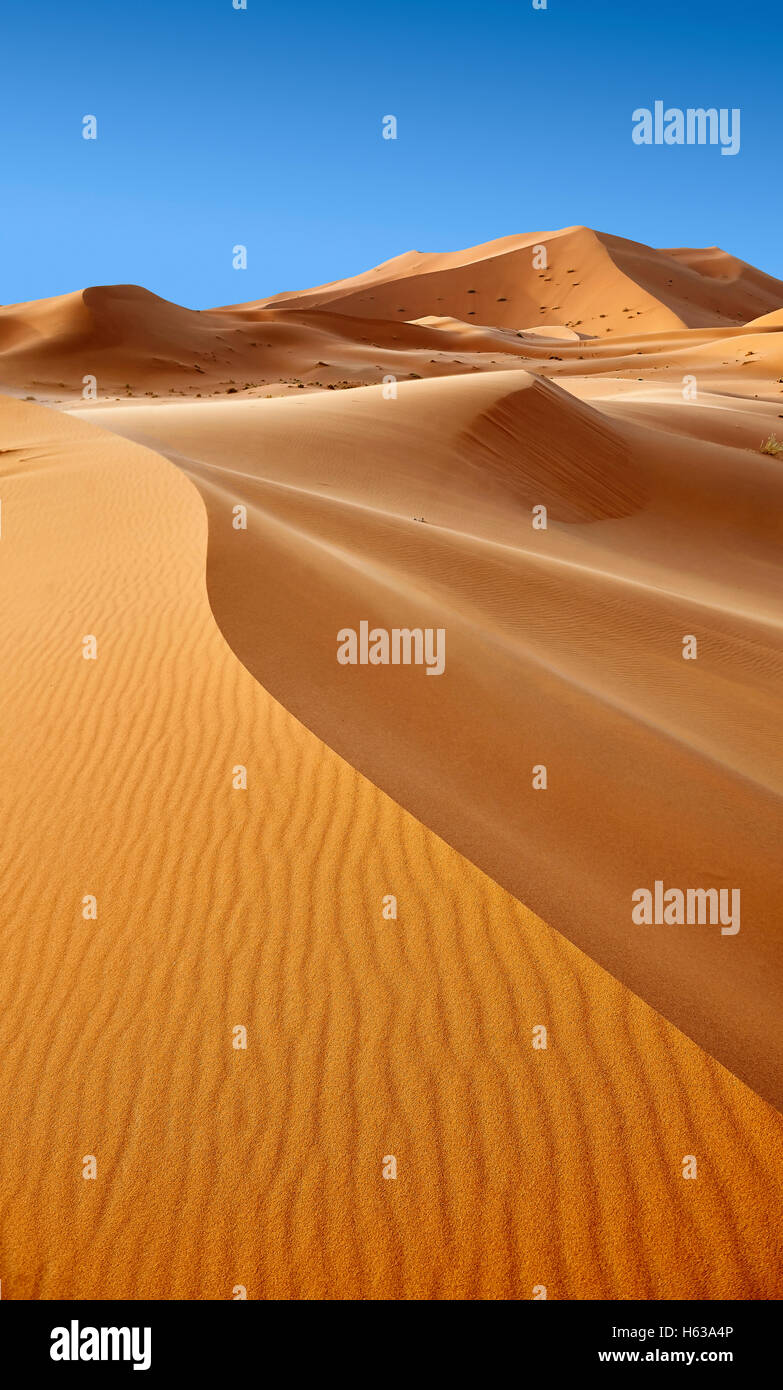 Sahara dune di sabbia di Erg Chebbi, Merzouga, Marocco, Africa Foto Stock