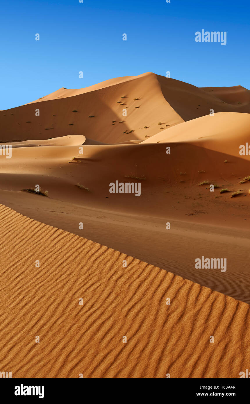 Sahara dune di sabbia di Erg Chebbi, Merzouga, Marocco, Africa Foto Stock