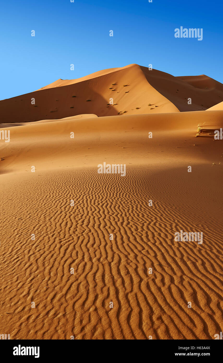 Sahara dune di sabbia di Erg Chebbi, Merzouga, Marocco, Africa Foto Stock
